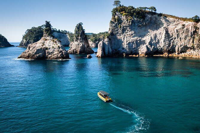 2 Hour Cathedral Cove and Volcanic Coast Cruise with Shade Canopy - Your guide’s stories: turning the coast into something you understand