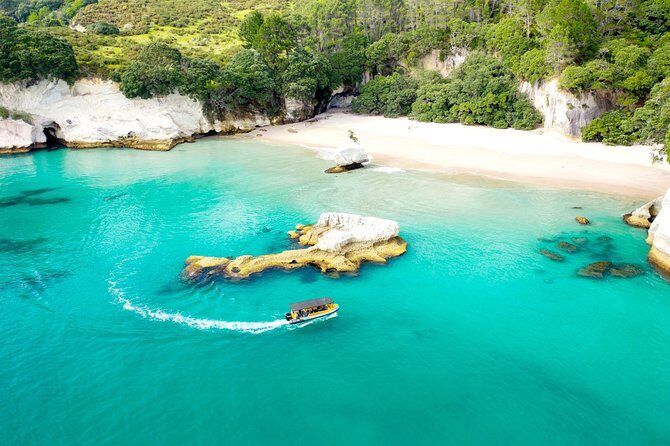 2 Hour Cathedral Cove and Volcanic Coast Cruise with Shade Canopy - Price and value: is $96.19 worth it?