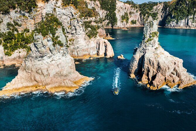 2 Hour Cathedral Cove and Volcanic Coast Cruise with Shade Canopy - Who should book this cruise (and who should choose something else)