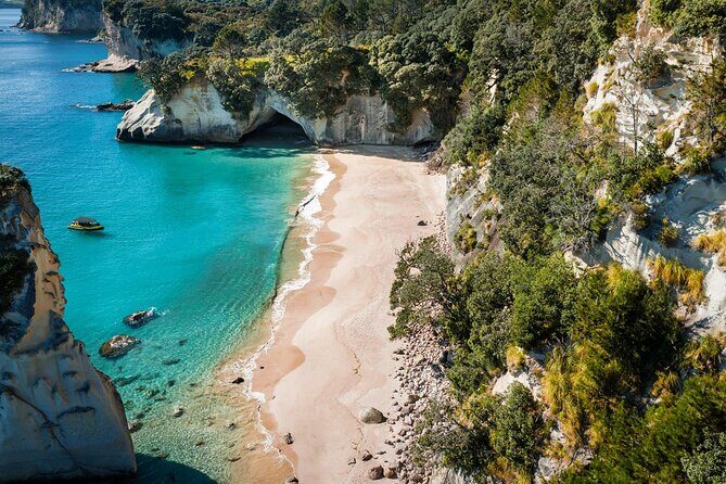 2 Hour Cathedral Cove and Volcanic Coast Cruise with Shade Canopy - Should you book Ocean Leopard Tours for Cathedral Cove?