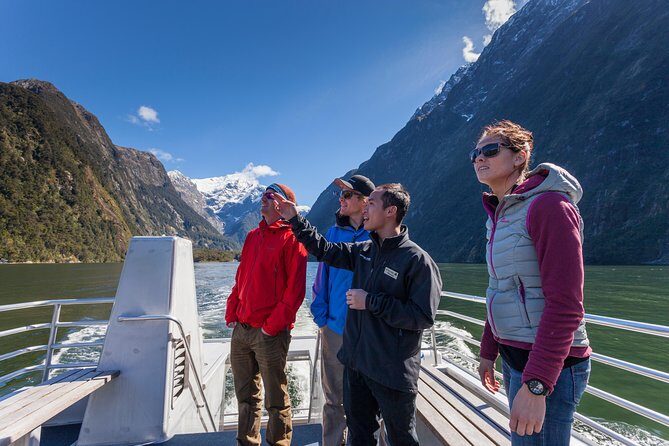 2-Hour Milford Sound Scenic Cruise - The Wildlife Part: Fur Seals, Dolphins, and Fiordland Crested Penguins