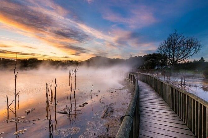 6.5 hour Small-Group Rotorua Naturally Shore Excursion - Tauranga - Key Things to Know Before You Go