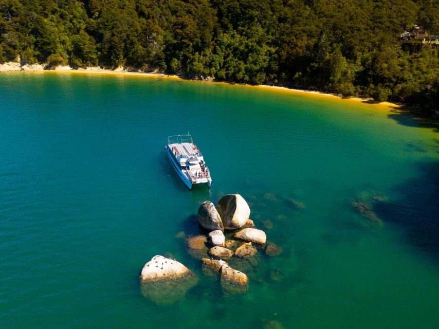 Abel Tasman National Full Park Scenic Cruise - Price, duration, and value versus driving and self-guided walks