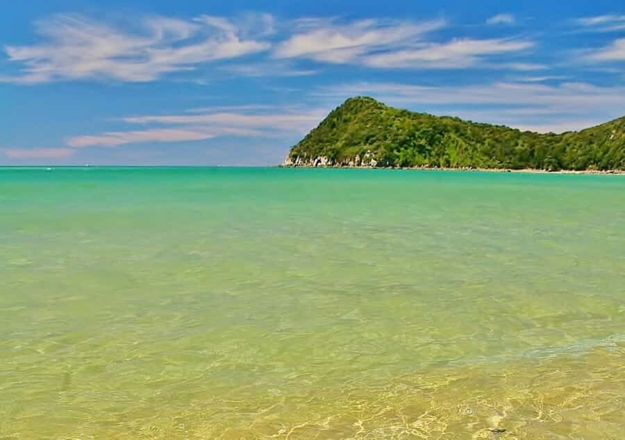 Abel Tasman National Full Park Scenic Cruise - Who should choose the Full Park Scenic Cruise