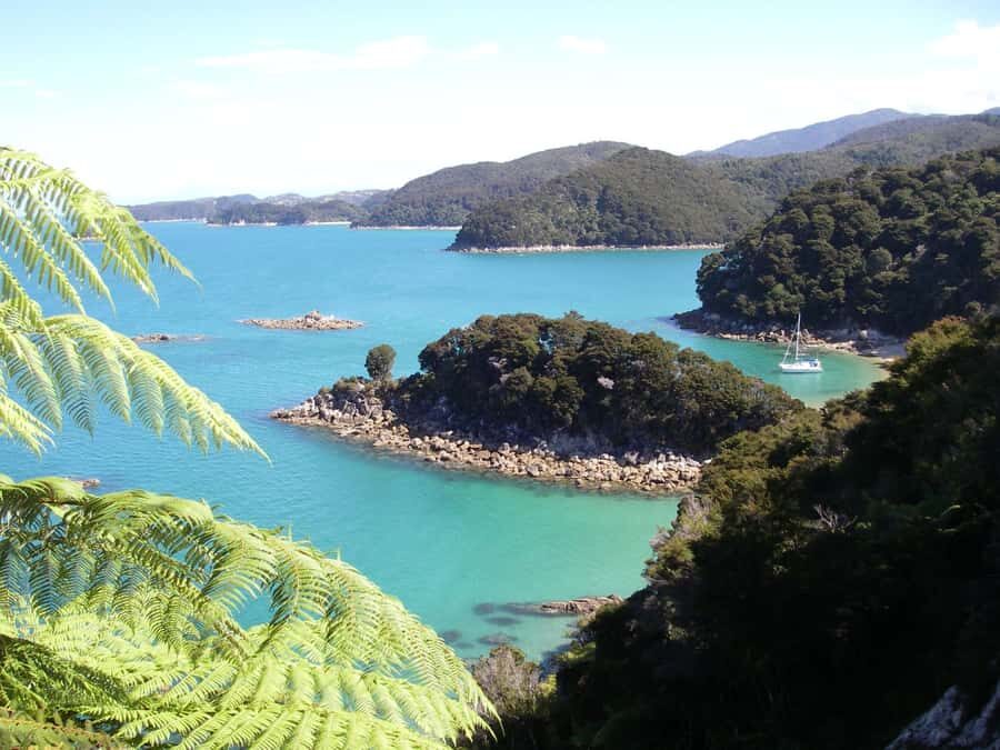 Abel Tasman National Park: Sailing and Self-Guided Walk - Why this Abel Tasman combo works so well