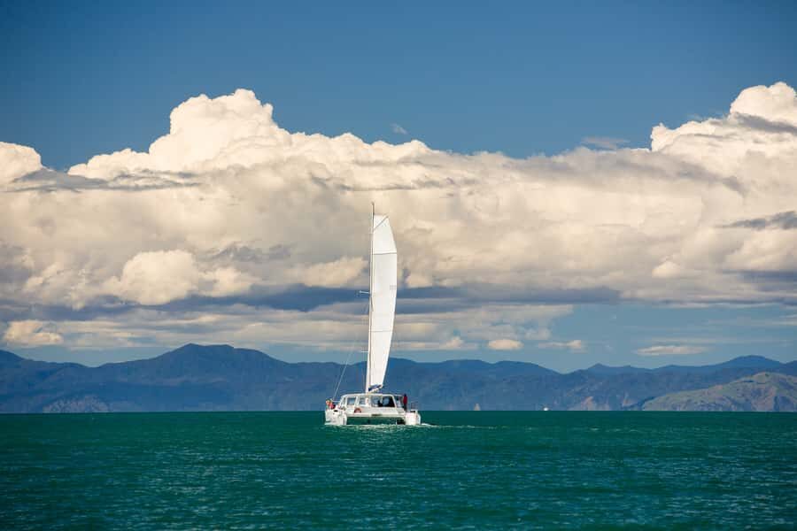 Abel Tasman National Park: Sailing and Self-Guided Walk - Wildlife and history from the skipper: more than just sightseeing