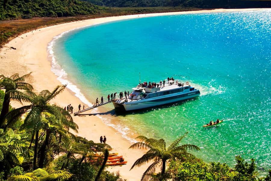 Abel Tasman: Sea Shuttle Cruise and Walking Tour Combo - Cruise + walk: why this Abel Tasman combo works in one day