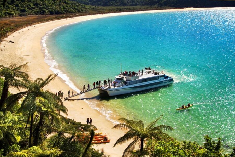 Abel Tasman: Sea Shuttle Cruise and Walking Tour Combo - Option B: Forest and Swing Bridge (Medlands to Anchorage via the South Head sights)