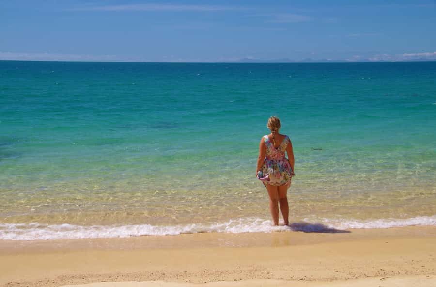 Abel Tasman: Sea Shuttle Cruise and Walking Tour Combo - Option C: 5 Beaches (Awaroa to Medlands, with the Tonga Quarry climb)
