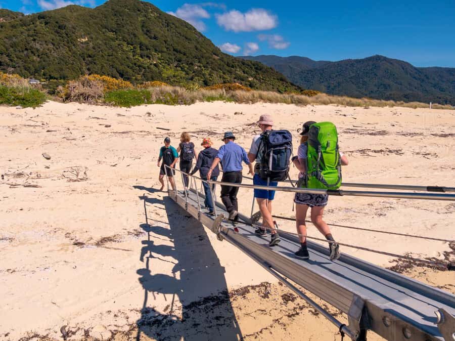 Abel Tasman: Sea Shuttle Cruise and Walking Tour Combo - Wildlife and sea time: how to time your snacks, swims, and photos