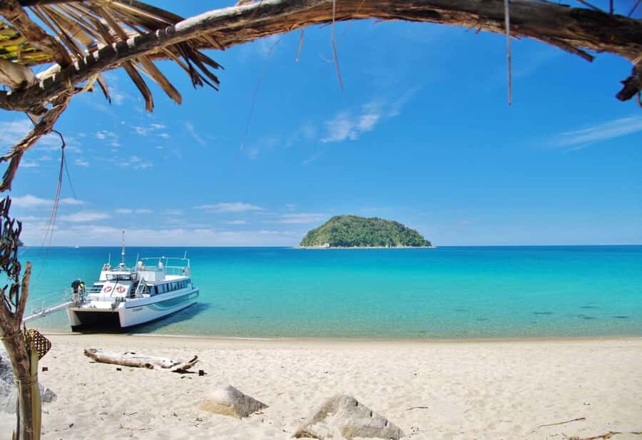 Abel Tasman: Sea Shuttle Cruise and Walking Tour Combo - Timing tips that save your day: which return boat to choose