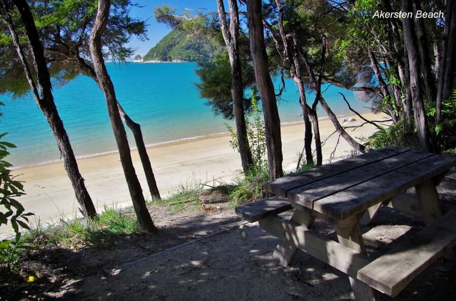 Abel Tasman: Sea Shuttle Cruise and Walking Tour Combo - Price and value: is $74 a fair deal for this one-day plan?