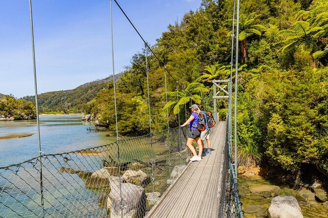 Abel Tasman Vista Cruise - Tonga Island Marine Reserve: a protected-water kind of stop
