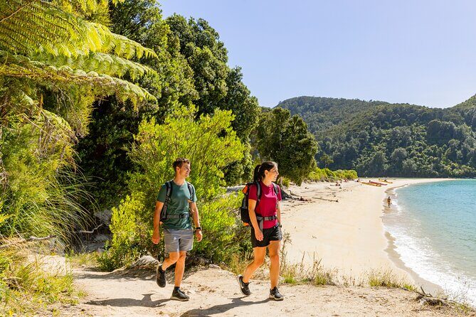 Abel Tasman Vista Cruise - Price and value: is $67.64 a fair deal?