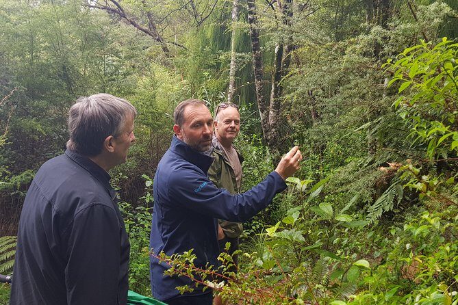 Afternoon Piha Beach and Rainforest Tour from Auckland - A Half-Day That Gets You Beyond Auckland Fast