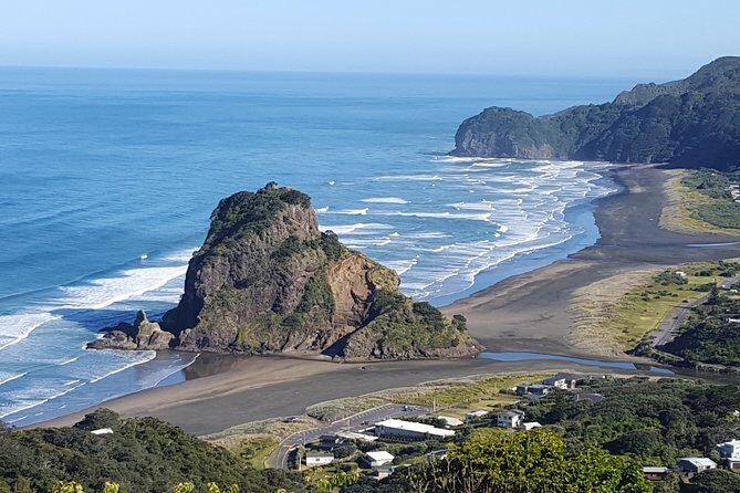 Afternoon Piha Beach and Rainforest Tour from Auckland - Pickup, The West Coast Drive, and How the Timing Actually Works