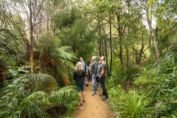 Afternoon Piha Beach and Rainforest Tour from Auckland - Piha Beach: Black Sand, Cold Water, and Time to Actually Walk