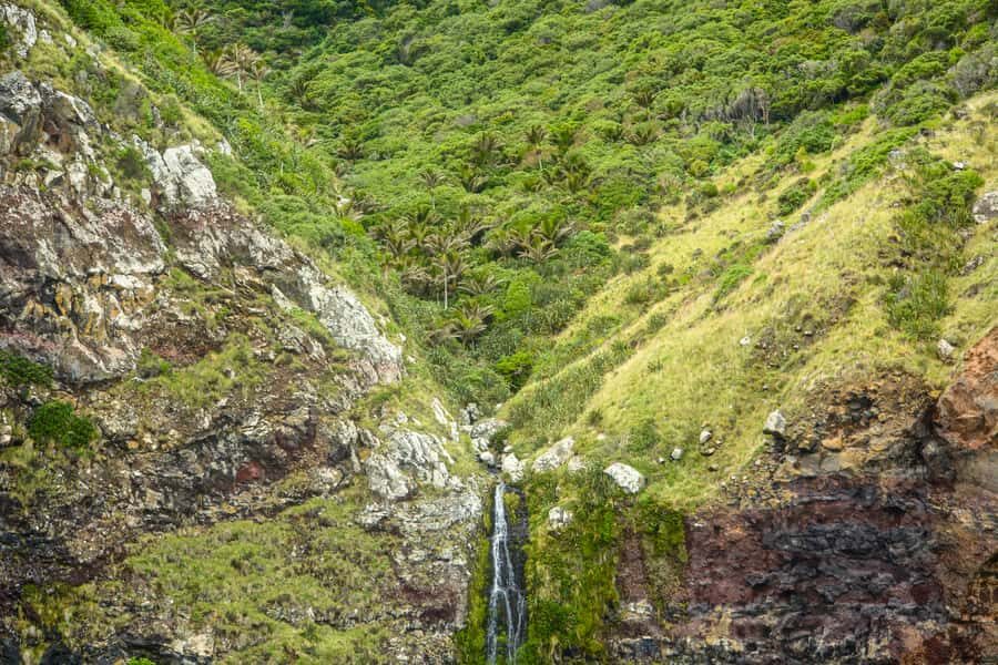 Akaroa: Dolphin Nature Cruise - The scenery part: sea caves and volcanic formations you’ll actually notice