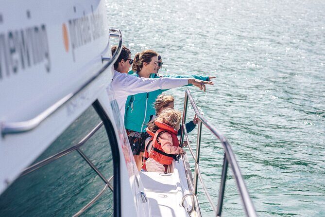Akaroa Dolphins ~ Harbour Nature Cruise - Akaroa Harbour on a catamaran: why this format works