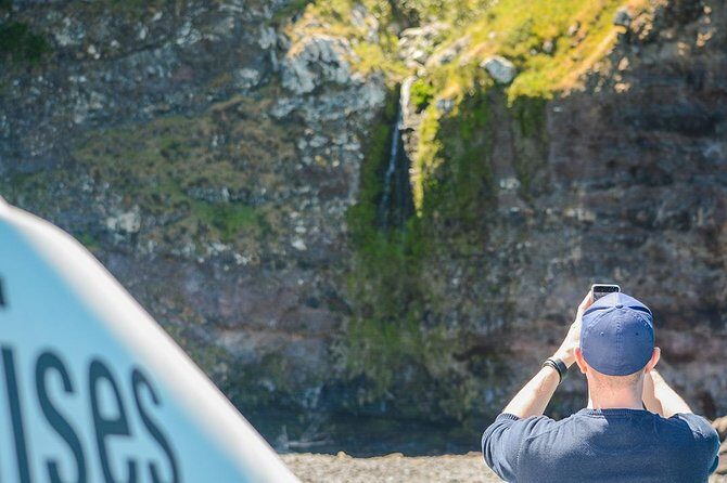 Akaroa Dolphins ~ Harbour Nature Cruise - The dog-powered spotting system (and why it’s not just cute)