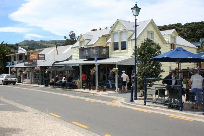 Akaroa Full Day Sightseeing Tour from Christchurch - Weather, Wildlife, and What to Expect If Dolphins Don’t Show