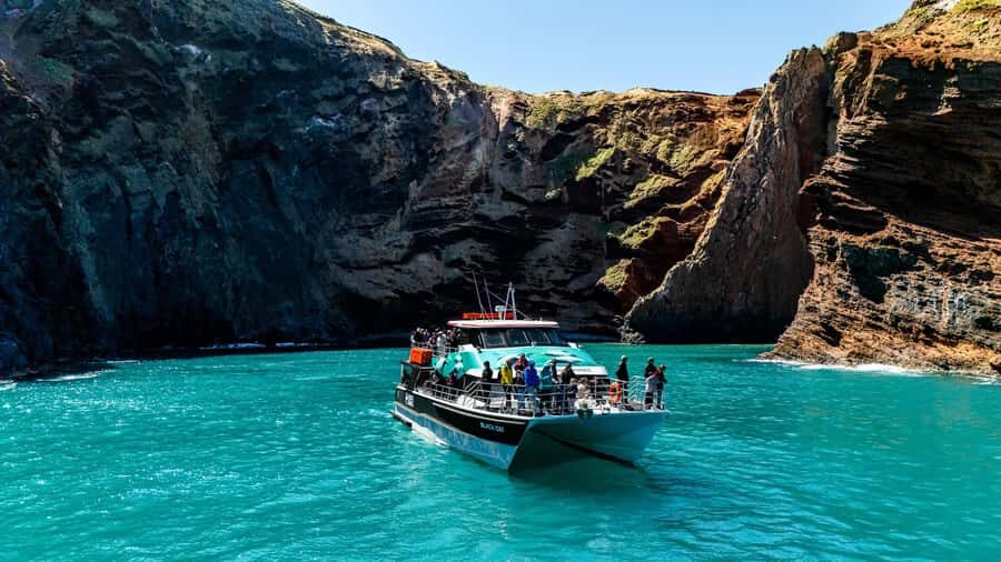 Akaroa Harbour 2-Hour Dolphin Nature Cruise - Key Points Before You Go