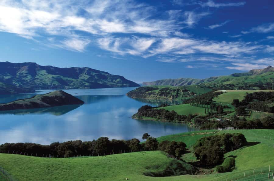 Akaroa Harbour 2-Hour Dolphin Nature Cruise - The Catamaran Setup: Best Places to Watch and Take Photos