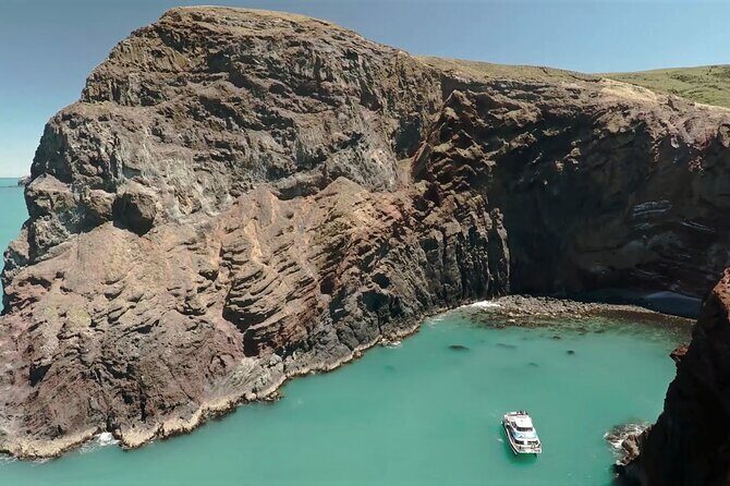 Akaroa Harbour Nature Cruise - Key highlights worth planning around