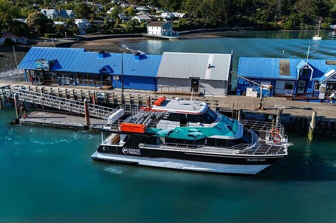 Akaroa Harbour Nature Cruise - Weather reality: when good days happen (and when plans change)