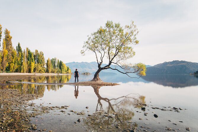 Arrowtown and Wanaka Highlights Tour from Queenstown - Key highlights to look forward to