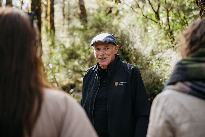 Arthur's Pass Discovery and TranzAlpine Train - Small Group Tour - The TranzAlpine-to-Arthur’s-Pass combo that actually feels complete