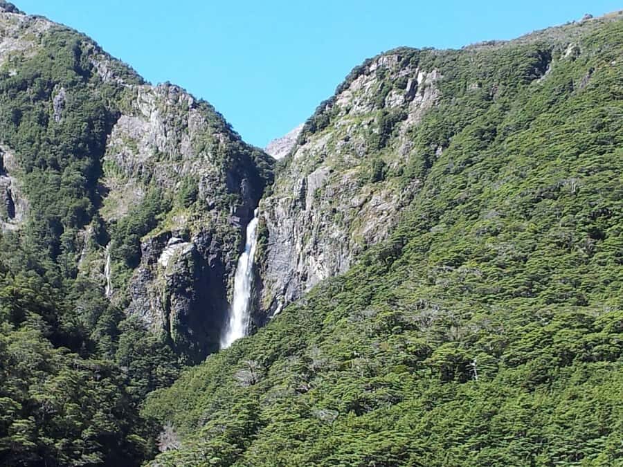 Arthur's Pass: TranzAlpine Train and Castle Hill Day Tour - Lunch break reality: plan around no-included-meal timing