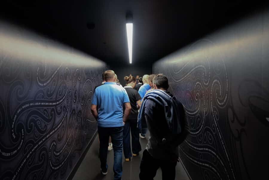 Auckland: All Blacks Experience Guided Cultural Tour - Timing, Check-In, and How to Fit It Into Your Day