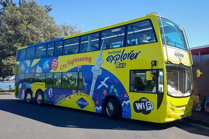 Auckland Explorer: Sightseeing Hop-on Hop-off Tour - Why this hop-on hop-off setup works well for first-time Auckland