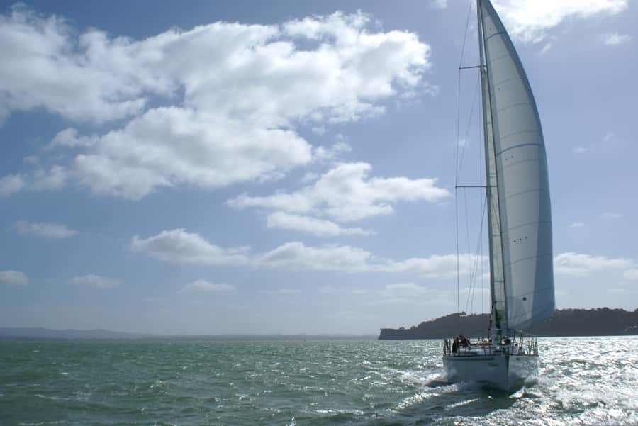 Auckland Harbour 1.5-Hour Sailing Cruise - Price and value: why $65 can make sense for Auckland