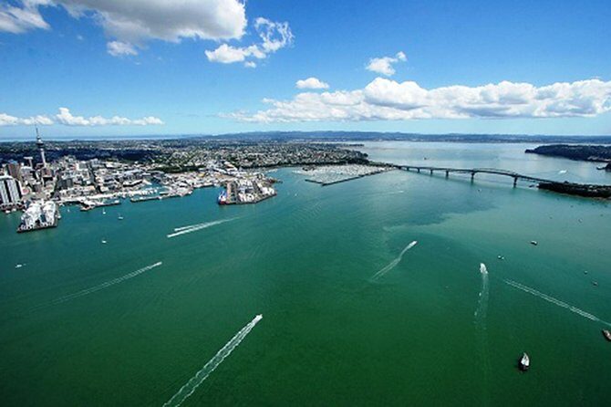 Auckland Harbour Cruise - Key things I’d plan around