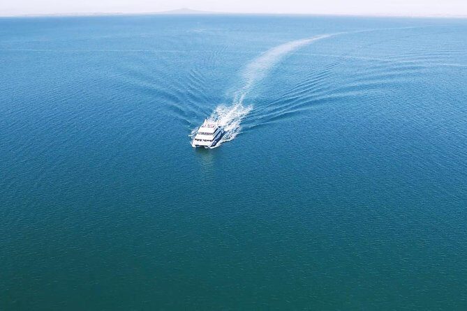 Auckland Harbour Cruise - The cruise itself: a simple loop that hits Auckland’s most famous angles
