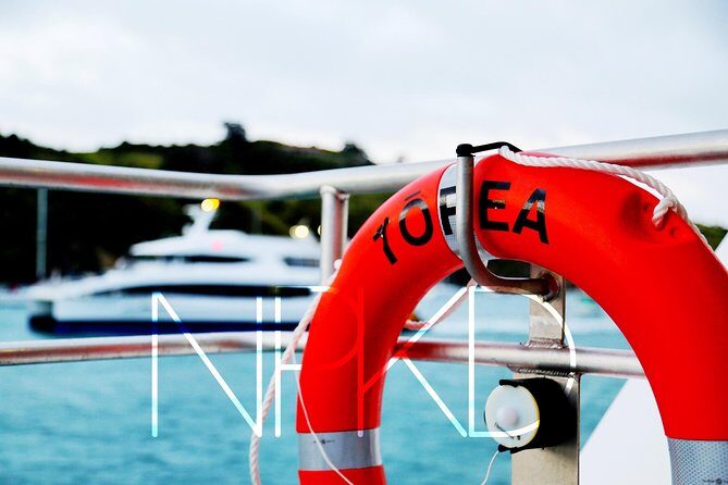 Auckland Harbour Cruise - Where to sit: views vs hearing the live commentary