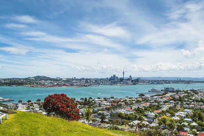 Auckland Harbour Cruise - Photo opportunities: when the skyline actually looks good