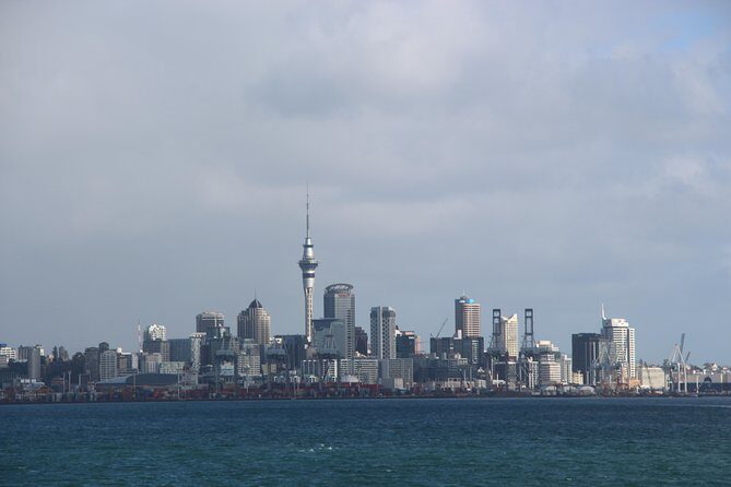Auckland Harbour Cruise - Staff, organization, and the small comfort details