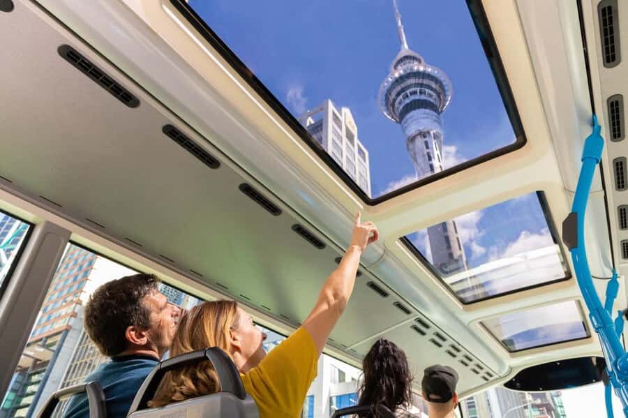 Auckland: Hop-On Hop-Off Explorer Bus Ticket - The Blue Outer Tour (October–April): Mt Eden, Zoo, and MOTAT