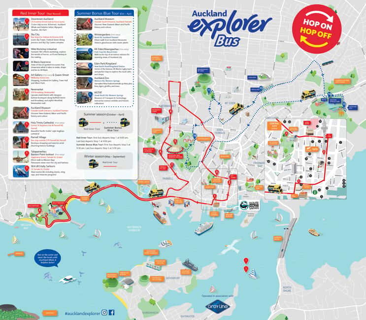 Auckland: Hop-On Hop-Off Explorer Bus Ticket - Price and Value: Why $38 Makes Sense (If You Use It Right)