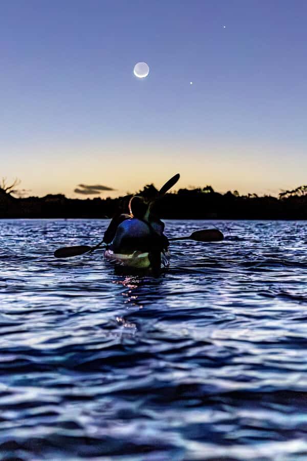 Auckland: Night Kayak Tour in Glowing Bioluminescent Waters - Key highlights that make this tour worth your evening