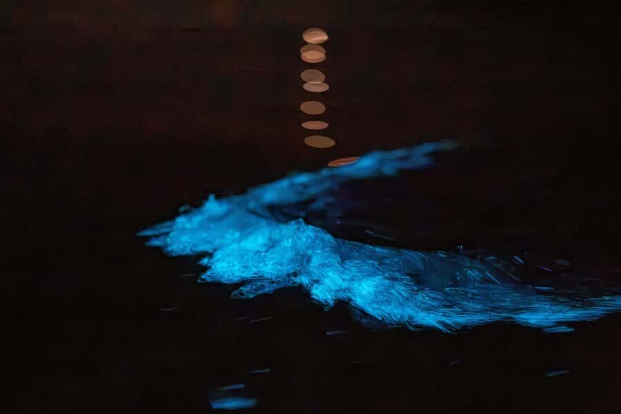 Auckland: Night Kayak Tour in Glowing Bioluminescent Waters - The pre-paddle safety briefing: what to expect before it gets dark