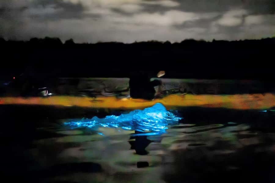 Auckland: Night Kayak Tour in Glowing Bioluminescent Waters - Gear check and what to wear so the night stays fun