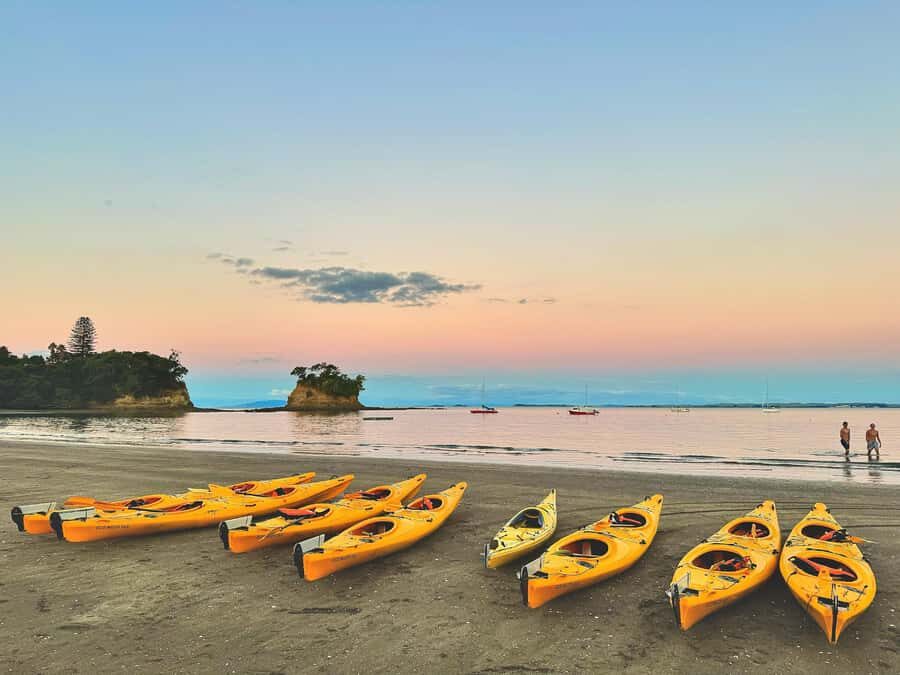Auckland: Night Kayak Tour in Glowing Bioluminescent Waters - Kayaking time: 75 minutes of glow, stars, and guided spotting