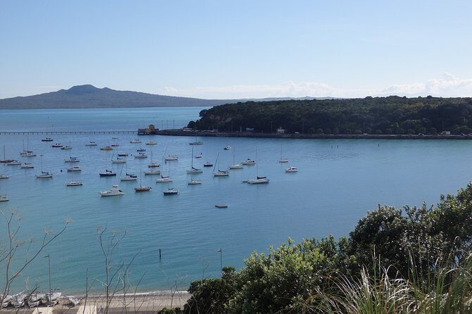 Auckland Scenic Day Tour Full-Day- 8 HOURS - Tamaki Drive, Viaduct Harbour, and Mission Bay: the city seen from water
