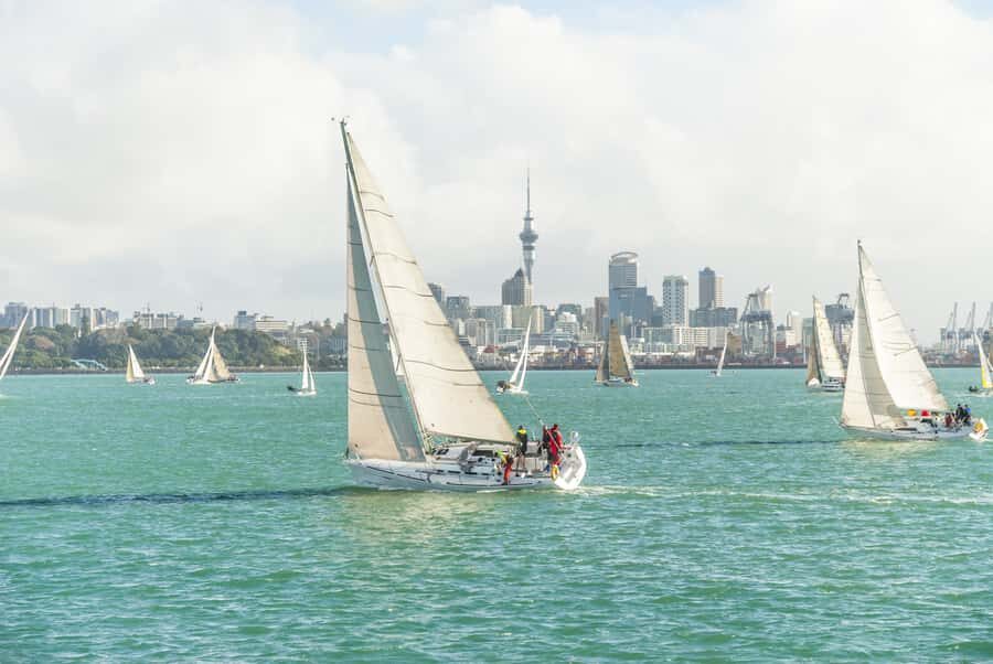 Auckland Scenic Half-Day City Sightseeing Tour - What this Auckland half-day tour really gives you