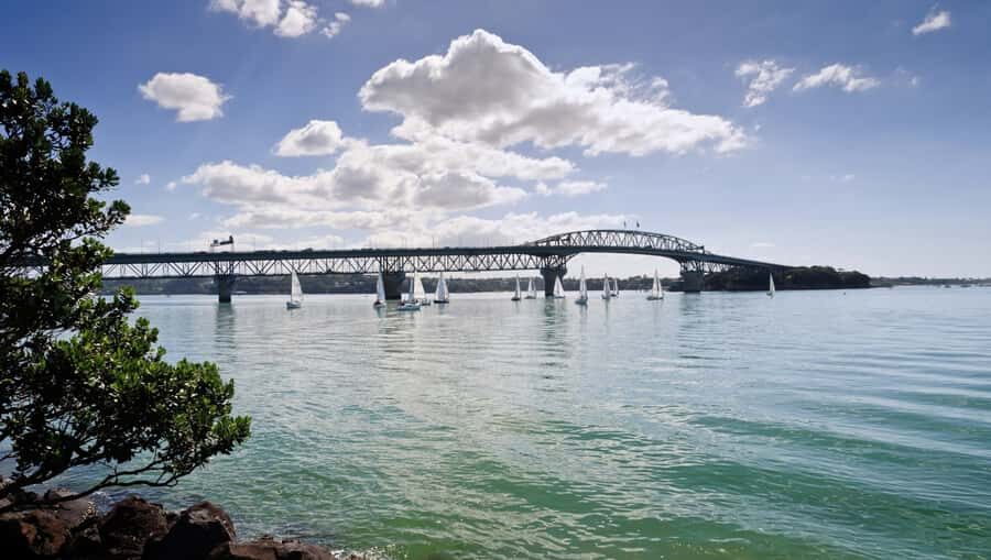 Auckland Scenic Half-Day City Sightseeing Tour - Ponsonby and K Road (Karangahape Road): the city’s style stops