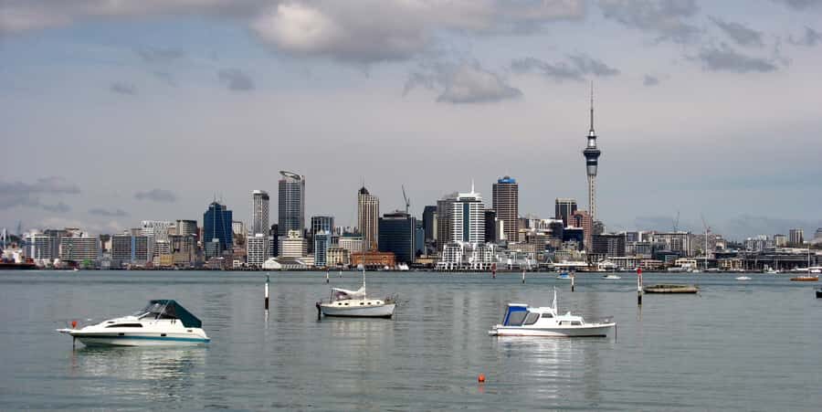 Auckland Scenic Half-Day City Sightseeing Tour - Where the tour starts: 99 Quay Street and the Ferry Building gate pickup
